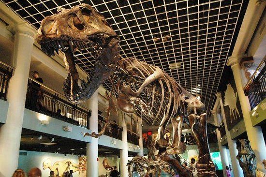 Drexel Üniversitesi Doğa Bilimleri Akademisi